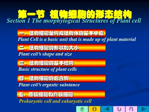 植物细胞的形态结构PPT演示文稿