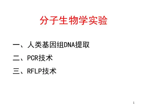 医学分子生物学实验课件