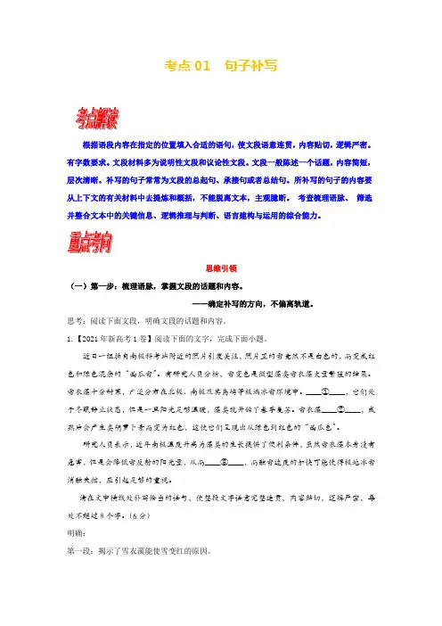 考点01 语用必考：句子补写-2024年高考语文一轮复习(新高考专用)