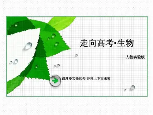2013高三生物复习课件 2-2-2基因在染色体上与伴性遗传  91张