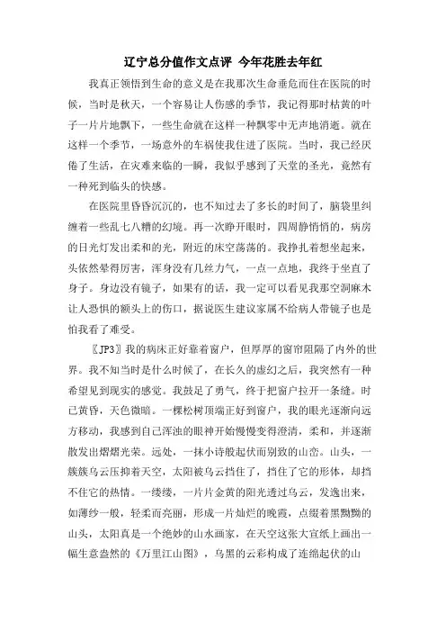 辽宁满分作文点评 今年花胜去年红.doc
