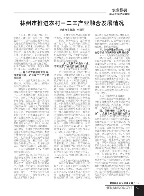 林州市推进农村一二三产业融合发展情况
