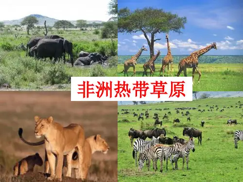 历史与社会新教材4.1逐水草而居