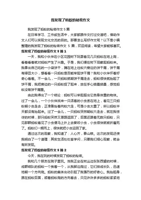 我发现了蚂蚁的秘密作文5篇