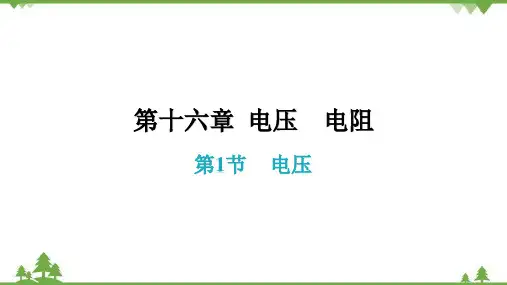 人教版初中物理九年级全册第十六章电压电阻第1节电压习题课件