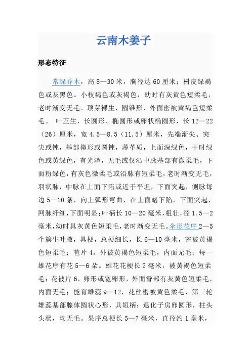 云南木姜子
