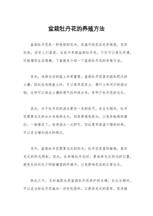 盆栽牡丹花的养殖方法