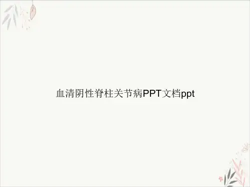血清阴性脊柱关节病PPT.