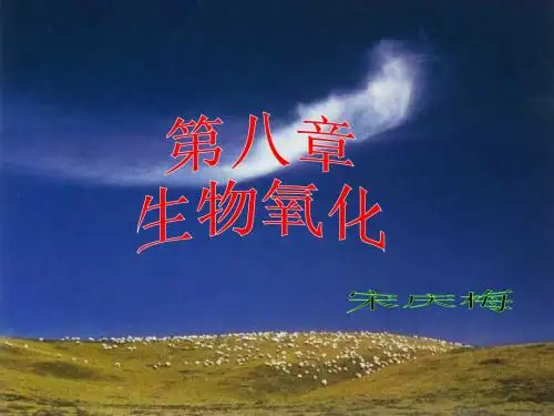 生物化学 第8章 生物氧化