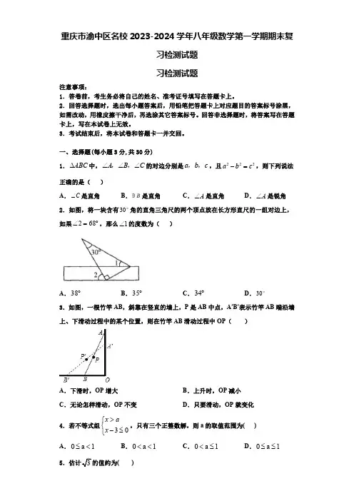 重庆市渝中区名校2023-2024学年八年级数学第一学期期末复习检测试题【含解析】