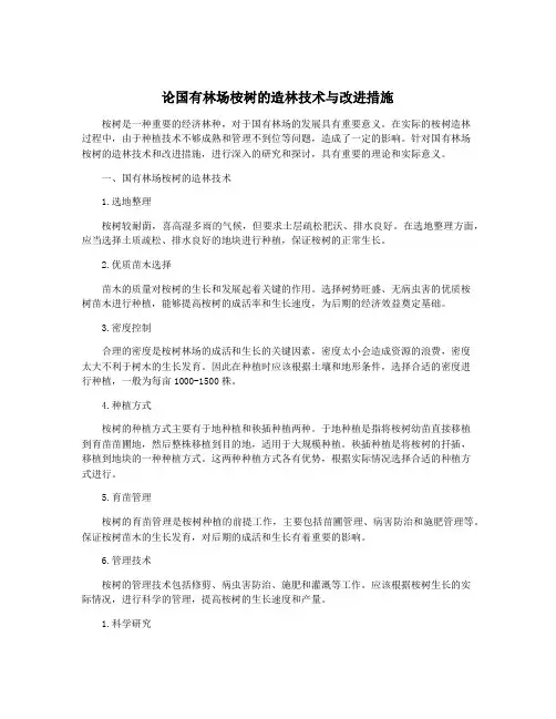 论国有林场桉树的造林技术与改进措施