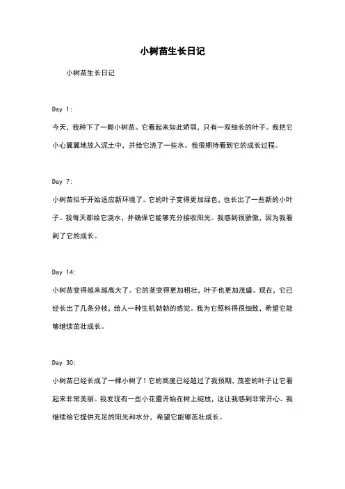 小树苗生长日记