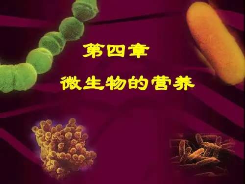 第五章微生物的营养与培养基介绍