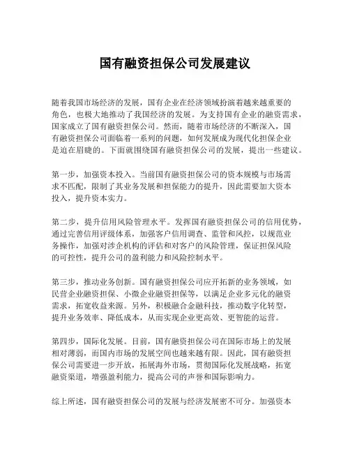 国有融资担保公司发展建议