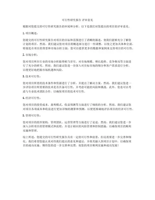 可行性研究报告 评审意见