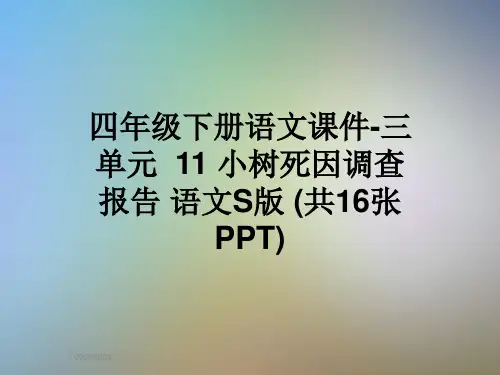 四年级下册语文课件-三单元  11 小树死因调查报告 语文S版 (共16张PPT)