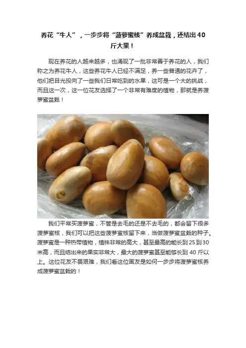 养花“牛人”，一步步将“菠萝蜜核”养成盆栽，还结出40斤大果！