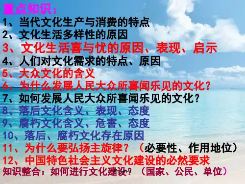 人教版高中政治必修3第四单元 发展中国特色社会主义文化第八课 走进文化生活课件(4)