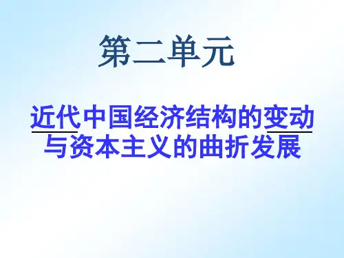 民族资本主义---一轮复习用