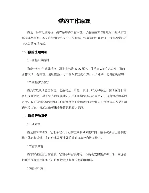 猫的工作原理