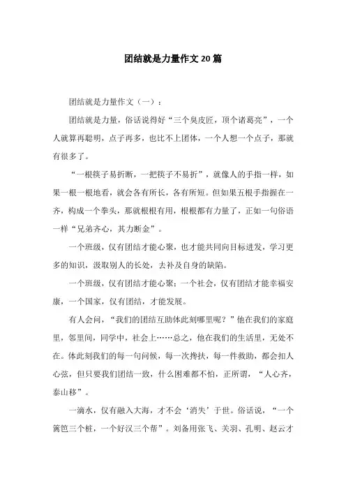 团结就是力量作文20篇