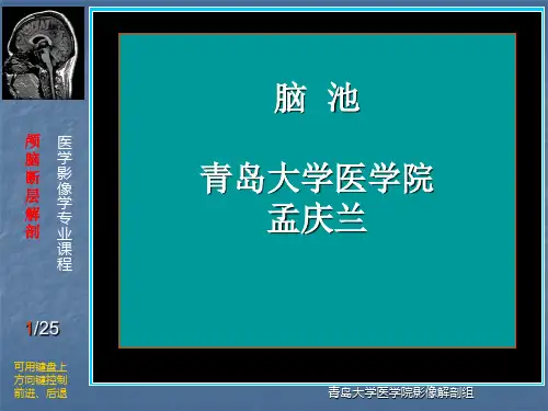 脑池CT影像解剖