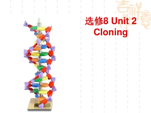 英语选修8人教新课标Unit 2同步课件：阅读(28张)