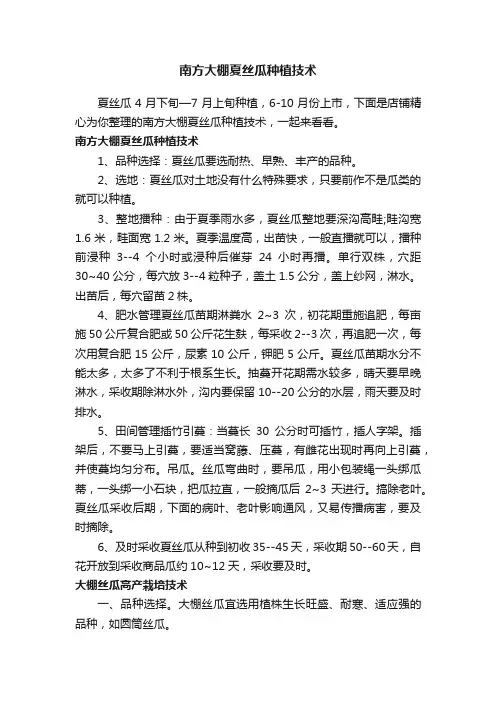 南方大棚夏丝瓜种植技术