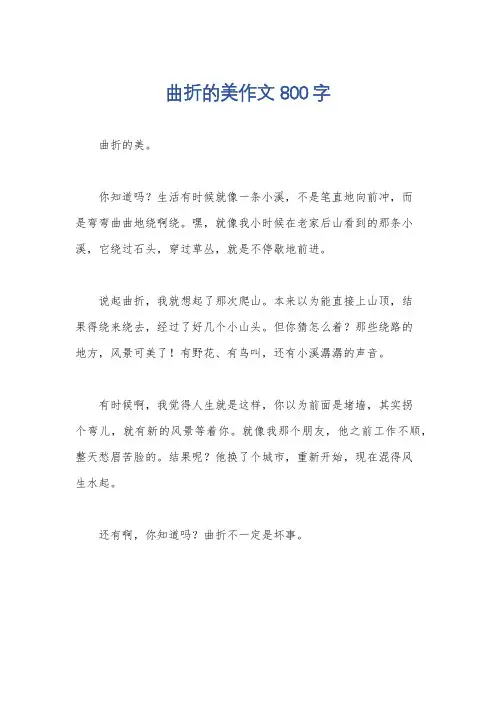 曲折的美作文800字