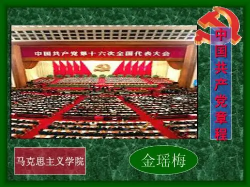 新党章课件