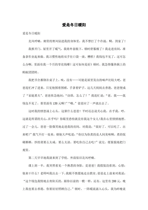 爱是冬日暖阳_小学六年级作文700字