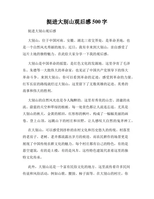 挺进大别山观后感500字