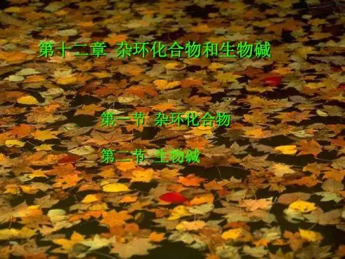第12章杂环化合物和生物碱