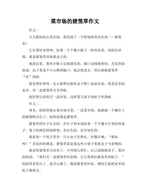 菜市场的猪笼草作文