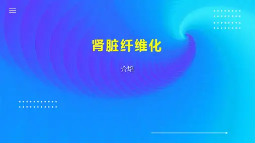 肾脏纤维化 