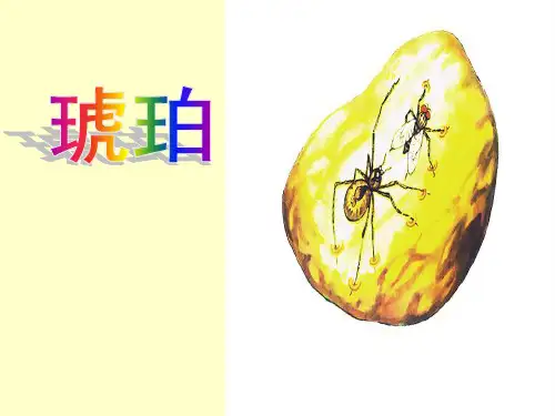 六年级下册语文课件- 琥珀 北师大版
