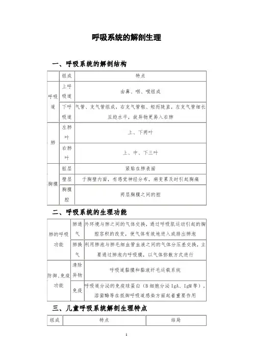呼吸系统的解剖生理