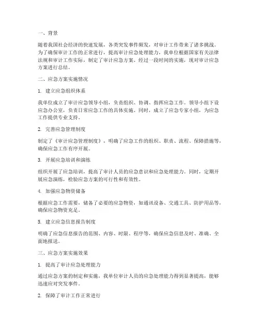 审计应急方案总结范文