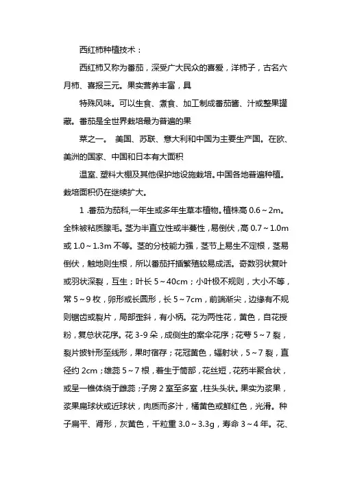 大棚西红柿种植与管理技术 3