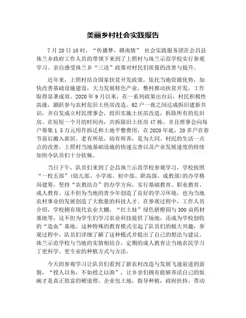 美丽乡村社会实践报告