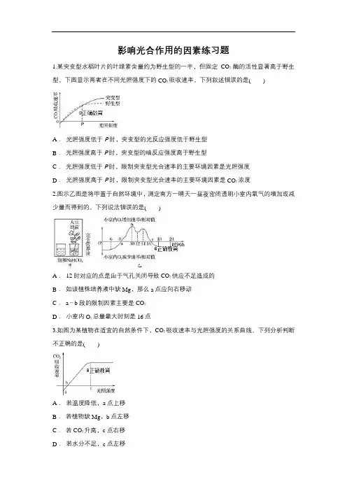 2019届高考生物一轮复习对点精选训练：影响光合作用的因素(含解析)