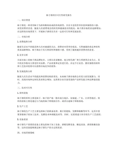 柿子酒项目可行性研究报告