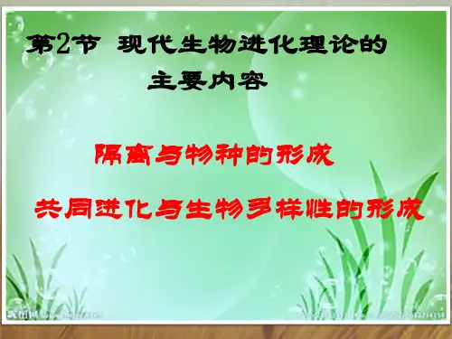 广东省广州市培才高级中学高一生物必修2课件7.2现代生物进化理论的主要内容第3课时