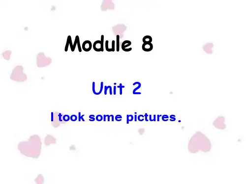 Module8-Unit2-I-took-some-pictures课件