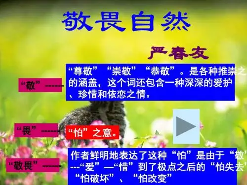 敬畏自然(共29张PPT)