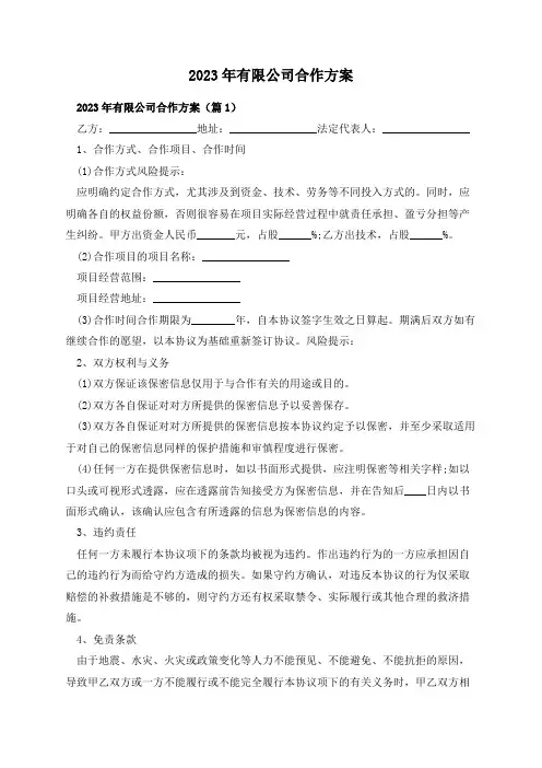 2023年有限公司合作方案