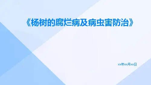 杨树的腐烂病及病虫害防治