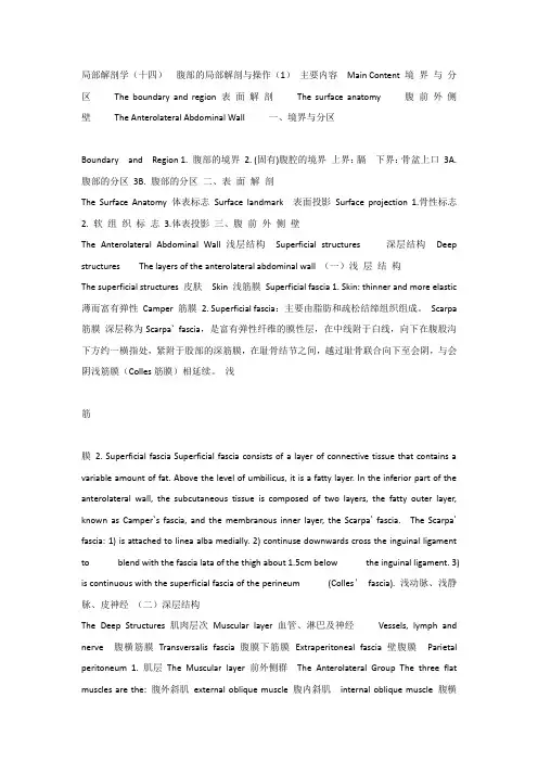 局部解剖学课件_14腹部的局部解剖与操作_1__