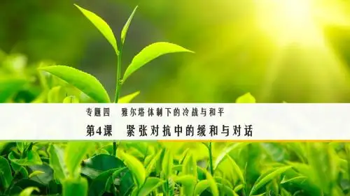 2017-2018学年高中历史人民版选修三课件：专题四 雅尔塔体制下的冷战与和平 第4课