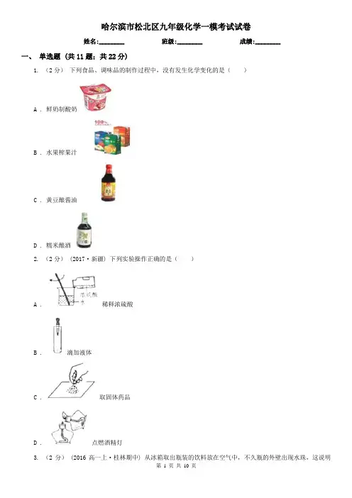 哈尔滨市松北区九年级化学一模考试试卷